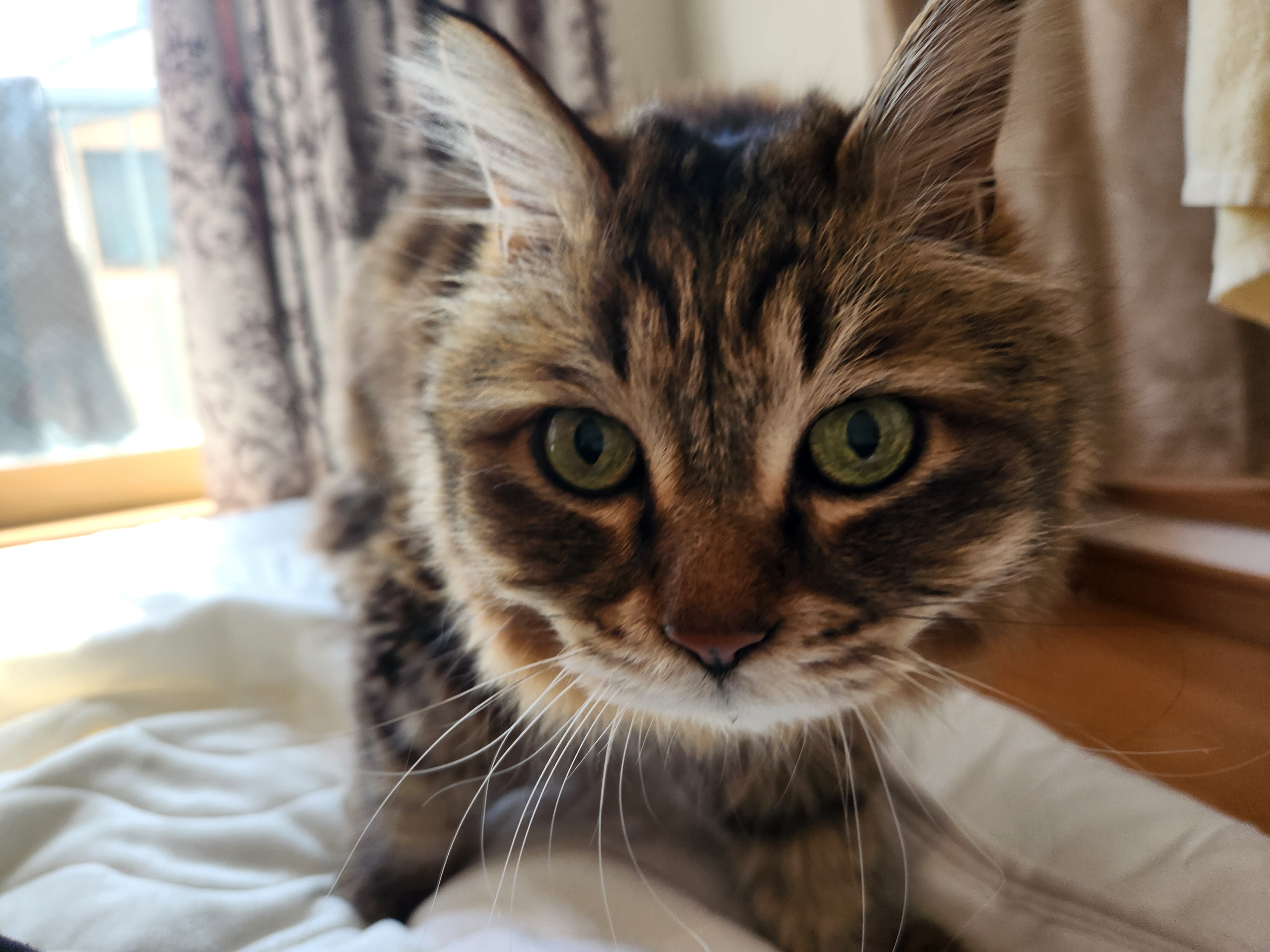 「イメージ通りのリフォーム」をお約束！の写真